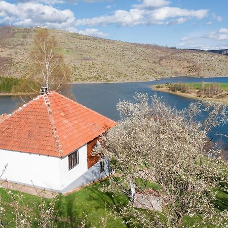 Villa Uvac Griffon à Nova Varoš Extérieur photo