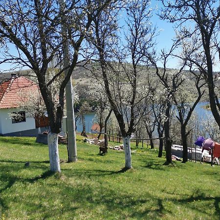 Villa Uvac Griffon à Nova Varoš Extérieur photo