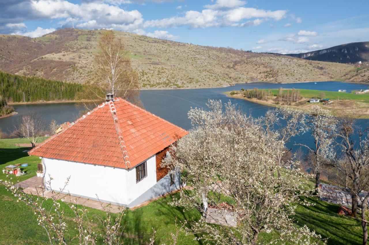 Villa Uvac Griffon à Nova Varoš Extérieur photo
