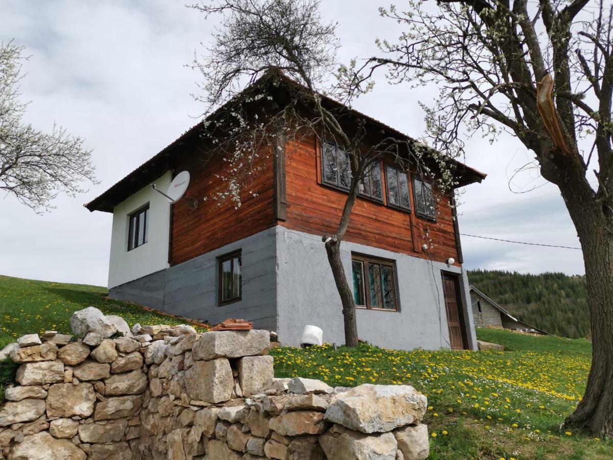 Villa Uvac Griffon à Nova Varoš Extérieur photo