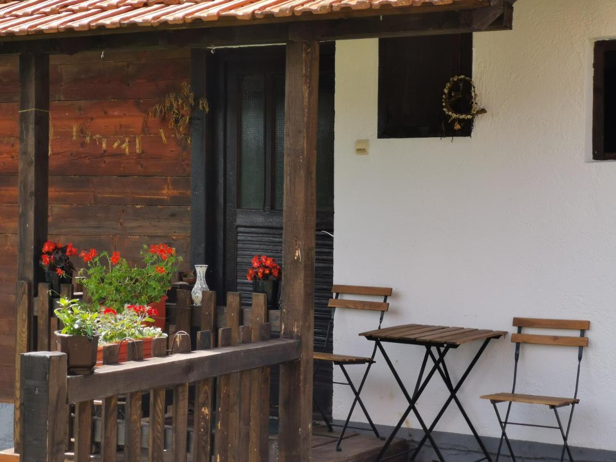 Villa Uvac Griffon à Nova Varoš Extérieur photo