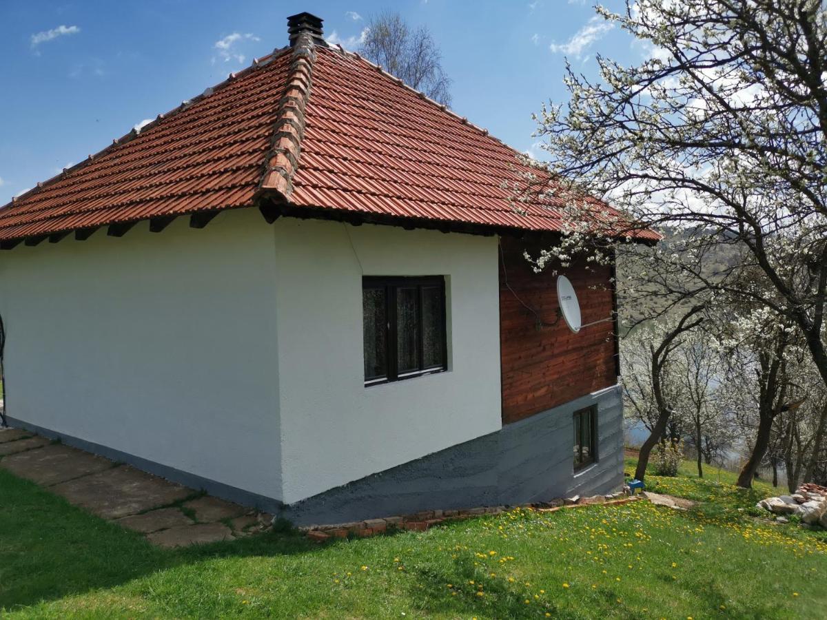 Villa Uvac Griffon à Nova Varoš Extérieur photo