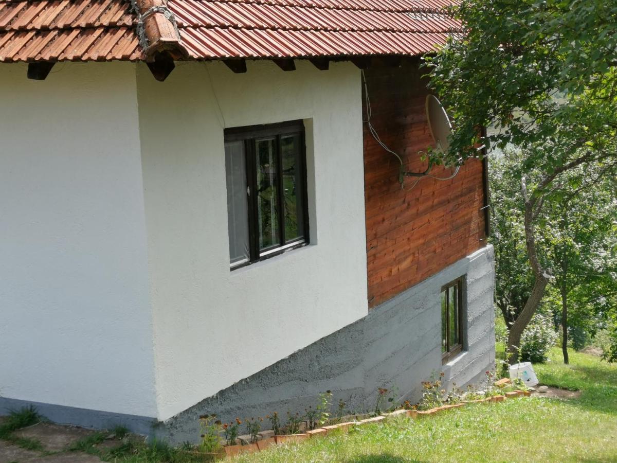 Villa Uvac Griffon à Nova Varoš Extérieur photo
