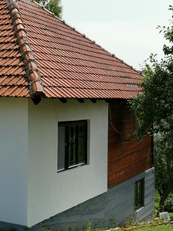 Villa Uvac Griffon à Nova Varoš Extérieur photo