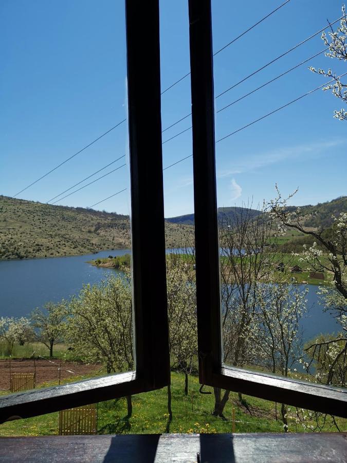 Villa Uvac Griffon à Nova Varoš Extérieur photo