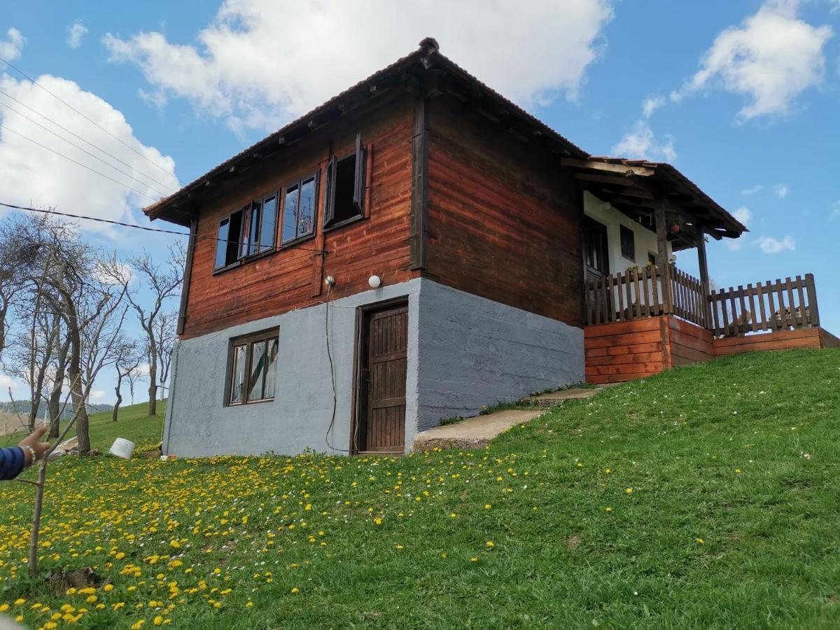 Villa Uvac Griffon à Nova Varoš Extérieur photo