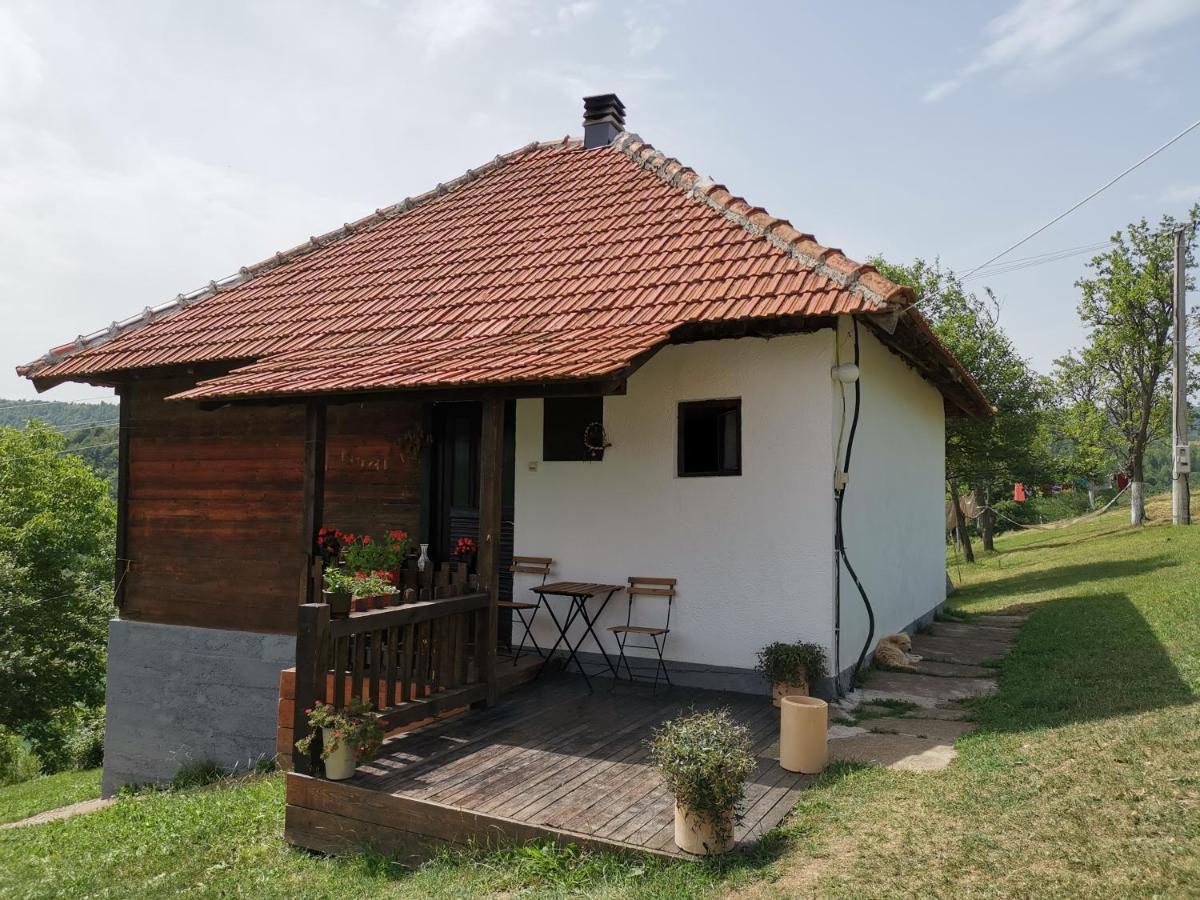 Villa Uvac Griffon à Nova Varoš Extérieur photo