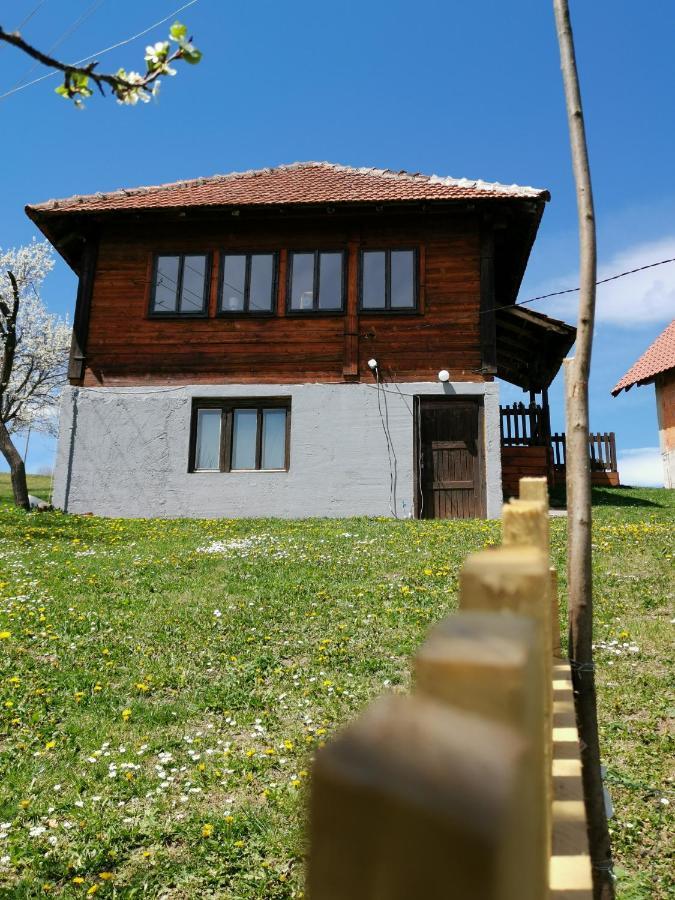Villa Uvac Griffon à Nova Varoš Extérieur photo