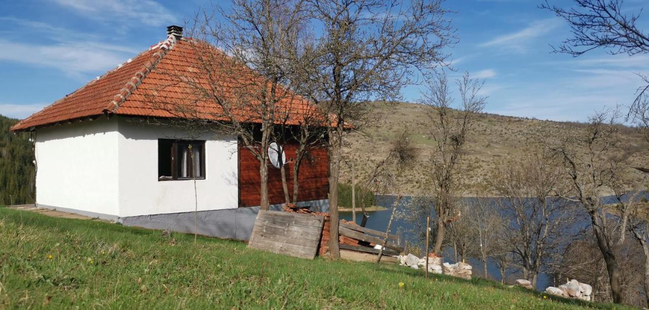 Villa Uvac Griffon à Nova Varoš Extérieur photo